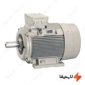 الکتروموتور-سه-فاز-30-کیلووات-1500-دور-فریم-چدنی-الکتروژن@LIGHTIFA.jpg