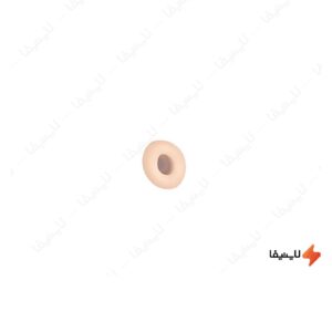 چراغ-دیواری-دونات-ستاره-شمال-مدل-TS9