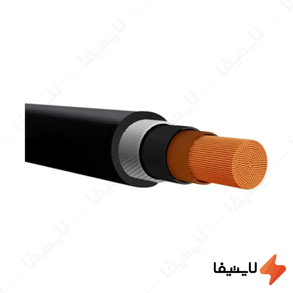 کابل-قدرت-زره-دار-متری-1-در-95-NYRY-مغان@LIGHTIFA.webp کابل قدرت زره دار متری 1 در 95 NYRY مغان - Image 1